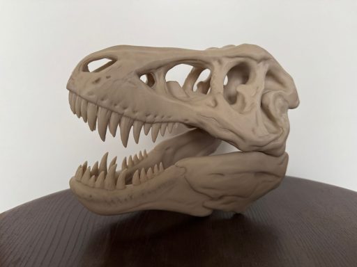 T-rex schedel